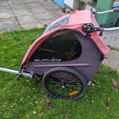 Burley Bike Trailer Honey Bee