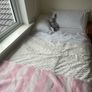 single bed x1 and foldable/ collapsible slide under bedx1 Image 5