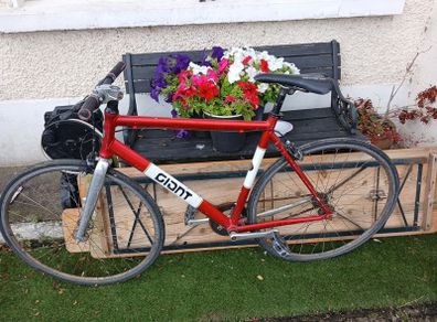 fixie giant