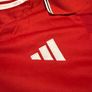 Manchester United Jersey Image 3