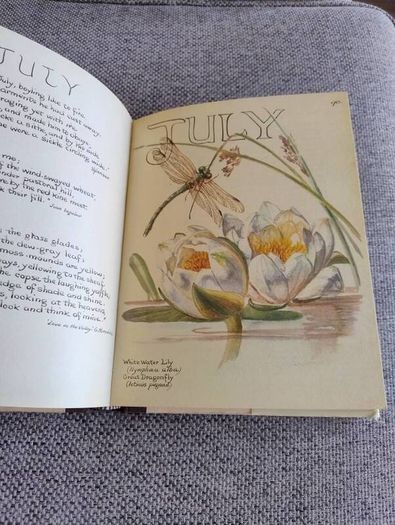 The Country Diary of an Edwardian Lady 1979 by Edith Holden in very good condition with some wear to the dustcover see photos FREE STANDARD POSTAGE INCLUDED