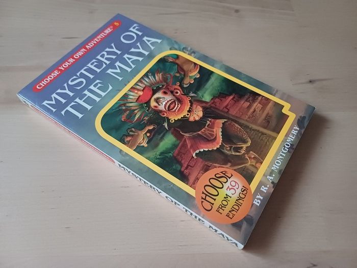 Choose Your Own Adventure by R.A. Montgomery (Illustrated Fantasy Retro Game Books 2005 NEW)