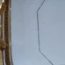 Cauldon China Plate Image 2