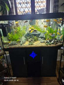 Aquarium with fish and full equipment
