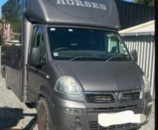 3.5t vauxall movano Horse lorry