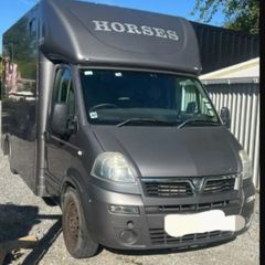 3.5t vauxall movano Horse lorry