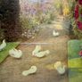 Vintage Framed Beatrice Parsons Garden Print "Roses and Doves" Image 2