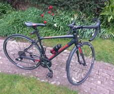 Giant Contend SL 2 (2019) Barely Used