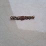 gold broach Image 3