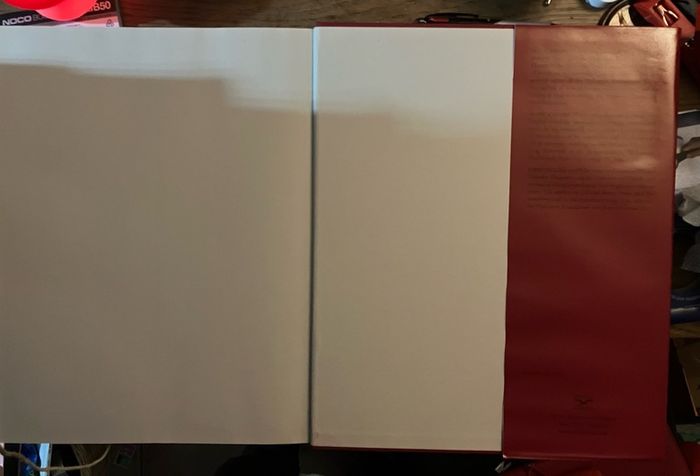 Carl Gustav Jung  :  Liber Novus  (The Red Book)