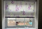 Blinds Market
