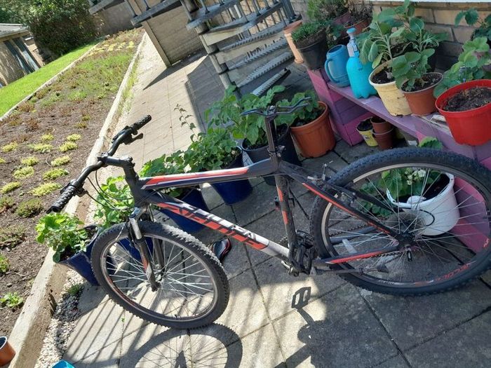 used cheap bikes