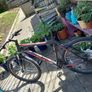 used cheap bikes Image 9
