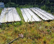 insulated roof sheets