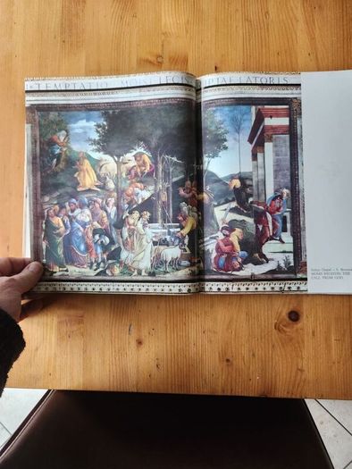 Michelangelo And Raphael In The Vatican. All The Sistinechapel, The Stanzas And The Loggias. First Edition Special Large Volume Paperback In Good Condition.