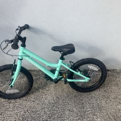 Ridgeback bike