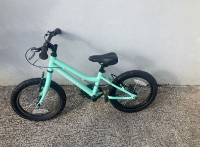 Ridgeback bike
