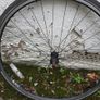 700x28C Front bicycle wheel Image 2