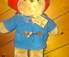 collector Teddies