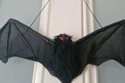 Halloween Decorations