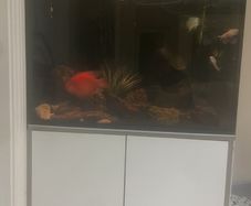 aquarium