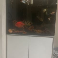 aquarium