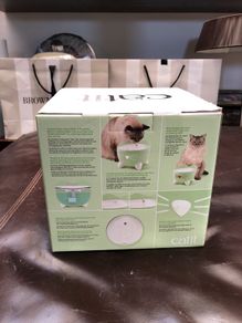 Drinking fountain cats