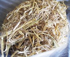 Compost
