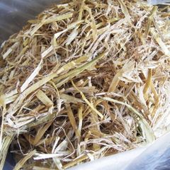 Compost
