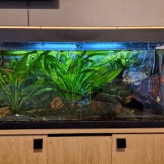 Aquarium 200L