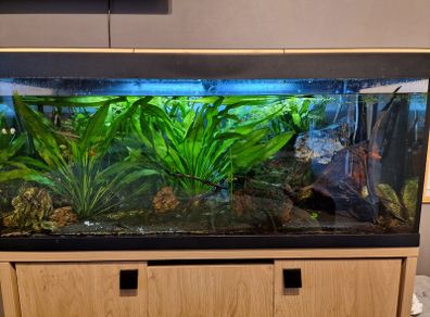 Aquarium 200L