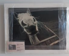 Studio Clearance Sale