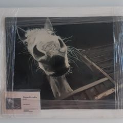 Studio Clearance Sale