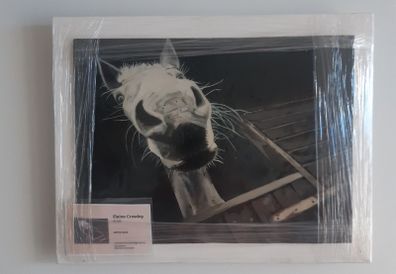Studio Clearance Sale