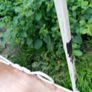 vintage wrought iron table Image 5