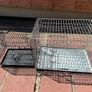 Dog cages Image 2