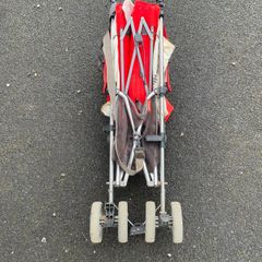 buggy