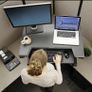 Ergotron WorkFit-TL Sit-Stand Desktop Workstation - white Image 2