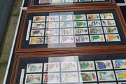 Framed Cigarette Cards Jockey/Horse
