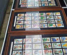Framed Cigarette Cards Jockey/Horse