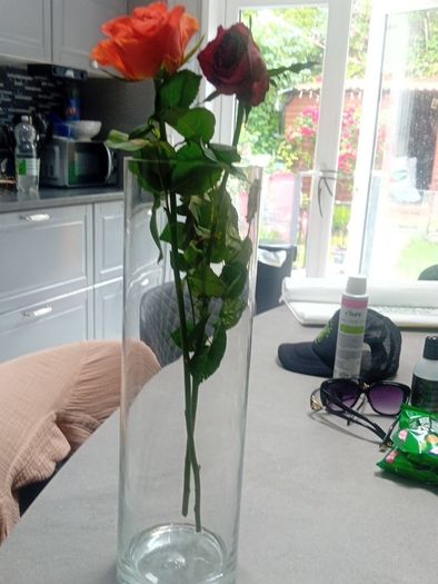 vases