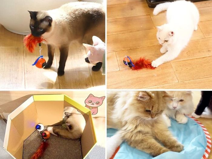 Interactive Cat Ball Toy Set, Fun Tracker, Automatic Rolling Chase Ball with Fluffy Tail, A Small Mice, Rechargeable