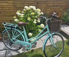 Electric Bike
