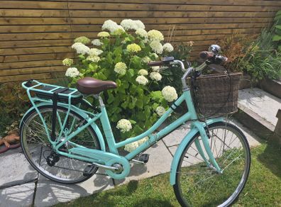 Electric Bike