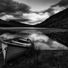 martin.dorgan.5