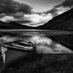 martin.dorgan.5
