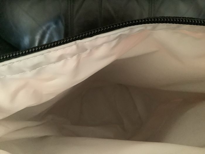 Ice bucket/cooler bag