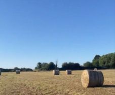 Hay Bales