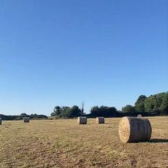 Hay Bales