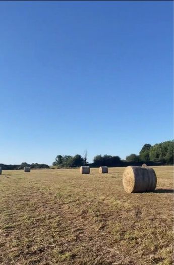 Hay Bales